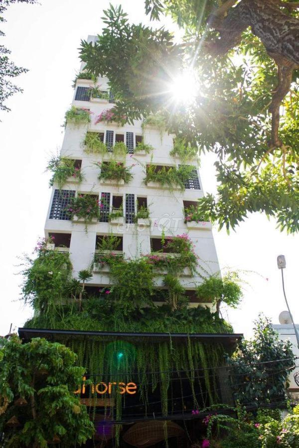 Seahorse Tropical Apartment Da Nang Eksteriør bilde